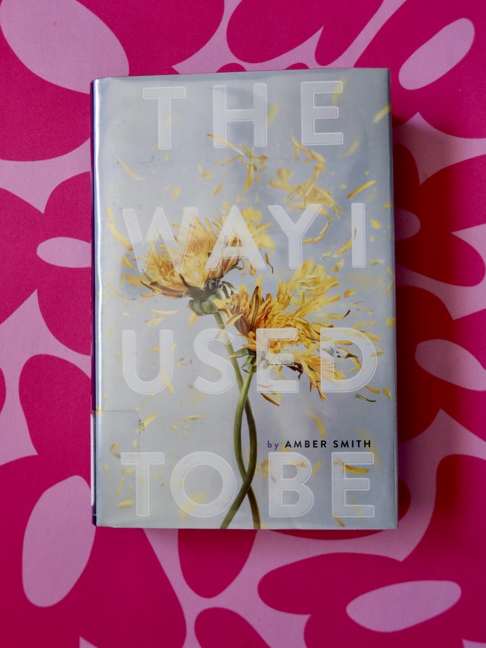 The Way I Used to Be by Amber Smith